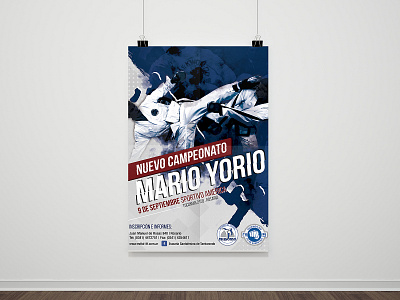 pic Martial Arts Tournament Poster valeria dribbble