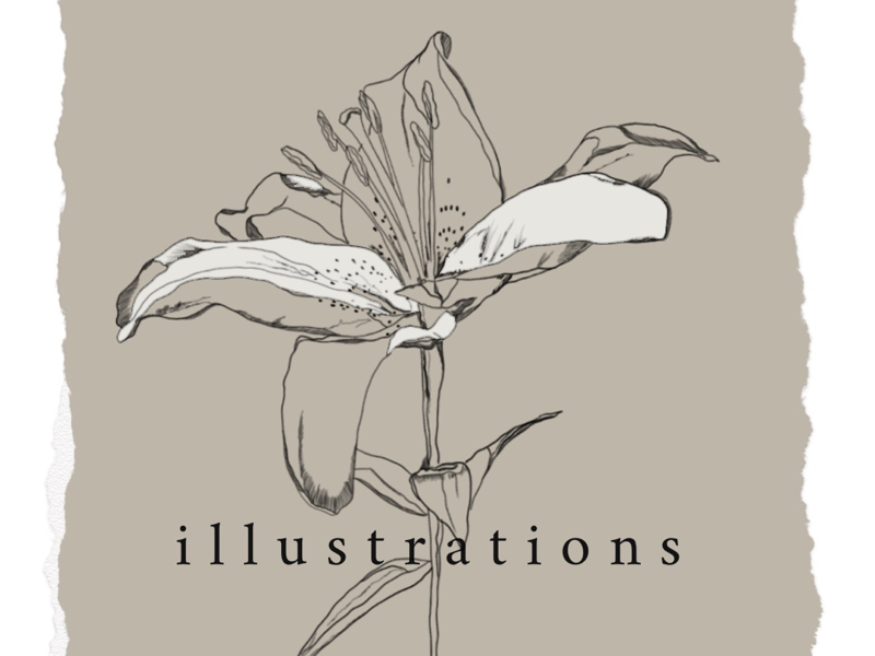 doodle tropical leaf, drawing, nature, line art - Stock Illustration  [48250154] - PIXTA
