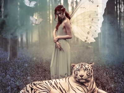 Fairy and her Cat adobe cc butterfly design design art fairy forrest graphicdesign photomanipulation photoshop supernatural tiger