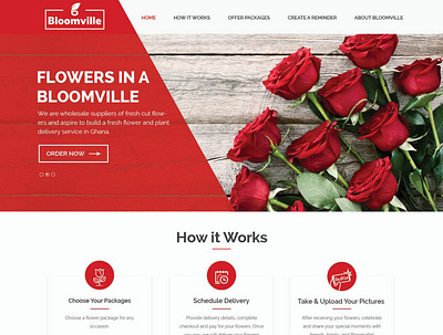 Bloomville typography ux website