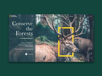 ConserveTheForests animals conservation forest nat geo nature ui ui ux ui ux design uidesign uiux ux web web design website website concept website design wildlife