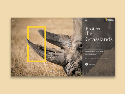 ProtectTheGrasslands conservation nat geo rhino rhinoceros ui ui ux ui design uidesign uiux web web design web ui web ui design webdesign website website design wildlife