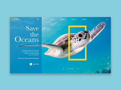 SaveTheOceans conservation nat geo nature oceans turtle ui ui ux ui design uidesign uiux ux web web design website website design wildlife