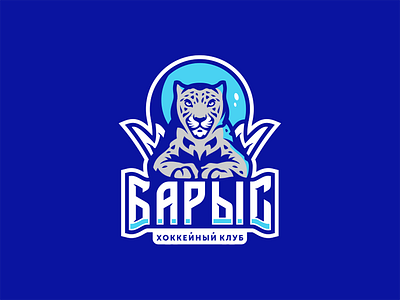 Barys