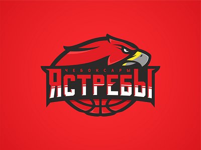 Hawks basketball bird branding cheboksary eagle hawks illustration logo logotype nba russia sport