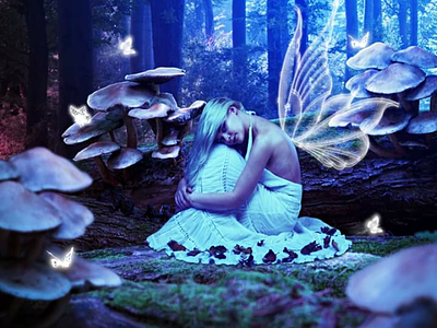 Night of the Butterflies fantasy fairy female