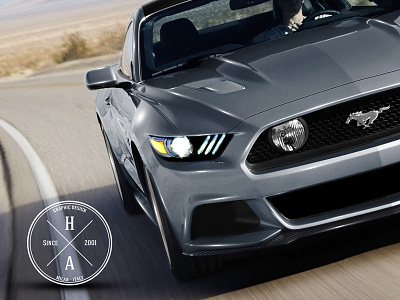 2015 Ford Mustang ford mustang