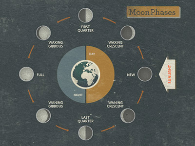 Moon phase diagram. design diagram info graphic moon quoss quoss.co texture