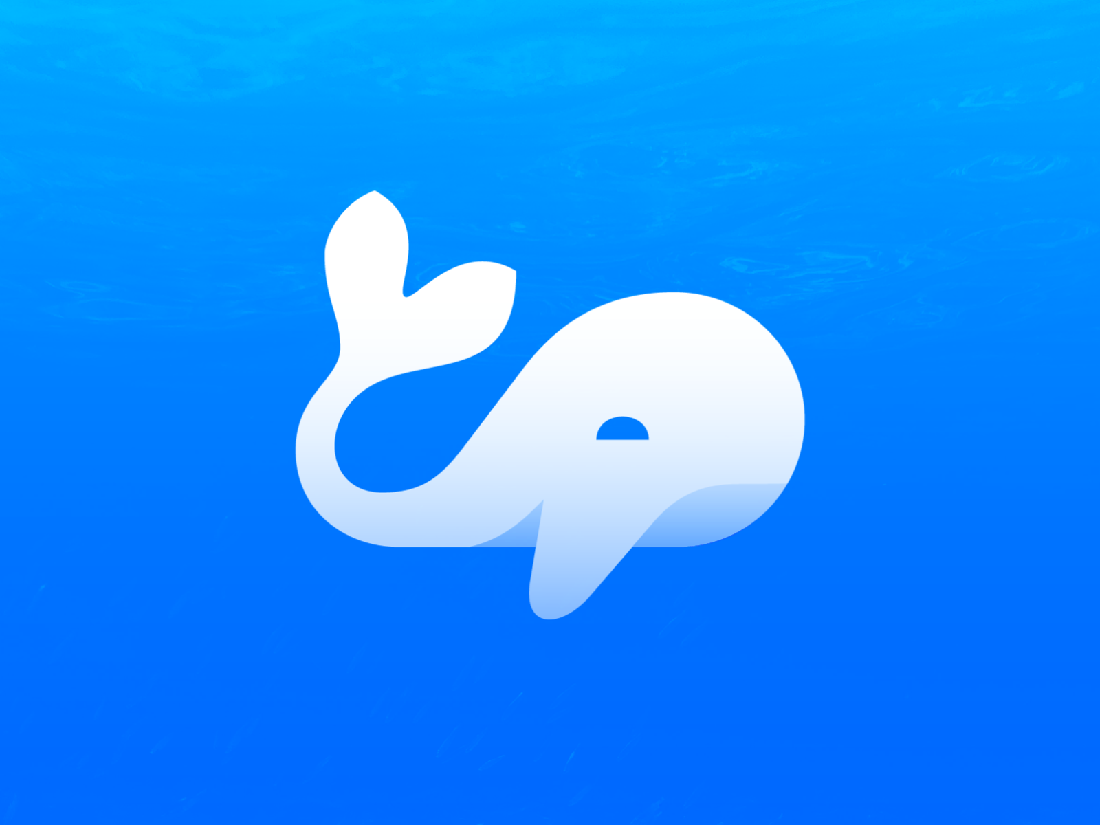 Blue Whale Logo Design (unused) By Mihai Dolganiuc On Dribbble