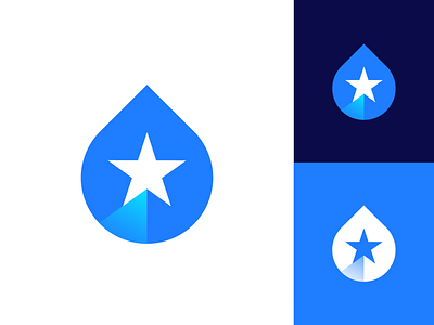 Mountain, Star, Drop Logo Concept