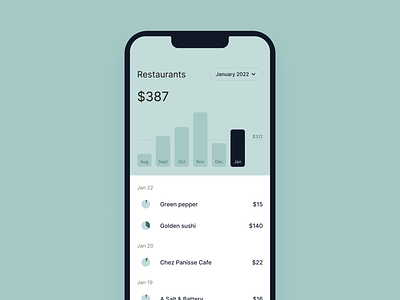 Money tracker - Details analytics app chart design expense figma income manager mobile money product project spending stats ui