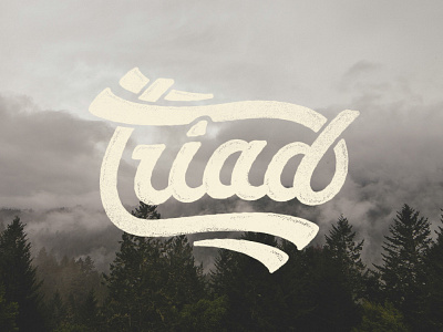 Swoopy Triad distressed hand done lettering script texture type typography