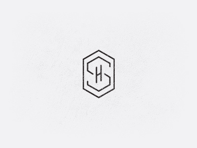 Sh Monogram #2 by Amir Karahasan on Dribbble