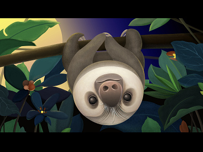 Lovely Sloth