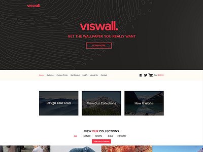Viswall home page landing page web design