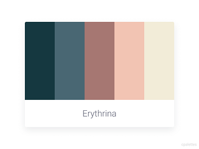 Erythrina branding color palette color palettes colors cpalettes design illustration logo palettes vector