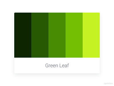 Green Leaf branding color palette color palettes colors cpalettes design illustration palettes typography ui vector