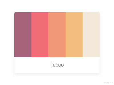 Tacao branding color palette color palettes colors cpalettes design illustration logo palettes vector