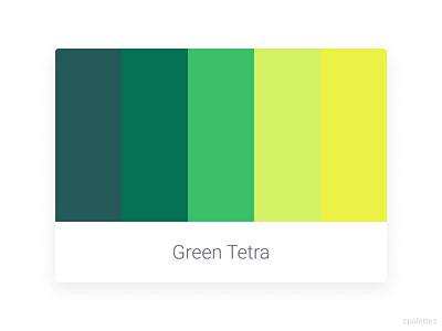 Green Tetra branding color palette color palettes colors cpalettes design illustration palettes typography vector