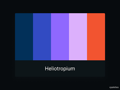 Heliotropium branding color palette color palettes colors cpalettes design heliotropium heliotropium illustration palettes typography vector