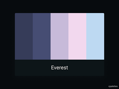 Everest animation app branding color palette color palettes colors cpalettes icon illustration palettes typography web