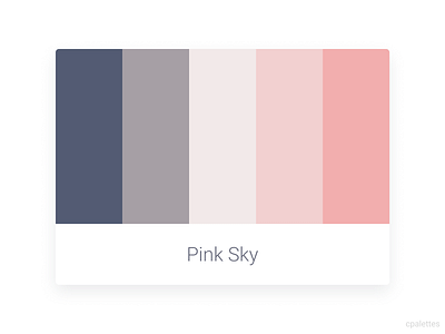 Pink Sky branding color palette color palettes colors cpalettes design illustration logo palettes typography vector