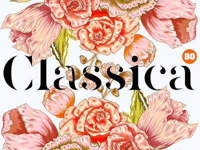 Classica Floral Pack clipart creative market floral flowers illustration retro set
