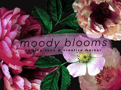 Moody Blooms Clipart Set clipart floral flower foliage photo set