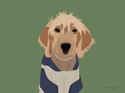 Parker The Doodle digital art digital painting dog doodle pet portrait stylized