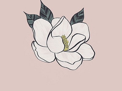 Magnolia