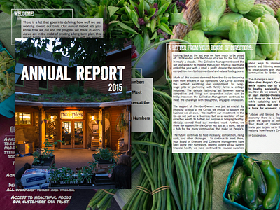 Annual Report annual report design graphic design layout photography print print design