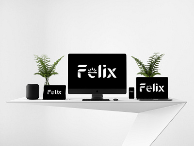 Felic-desktop brand identity branding design desktop illustration illustrator logo setup typography vector