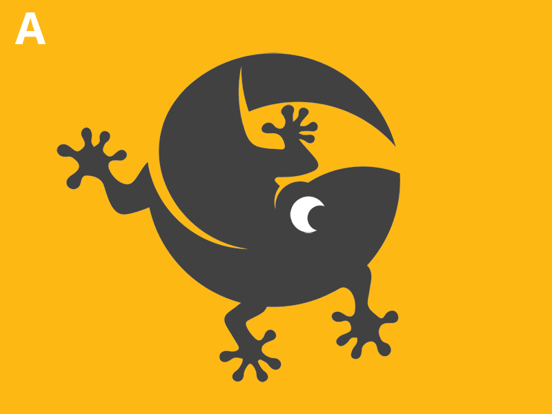 Gecko logo project