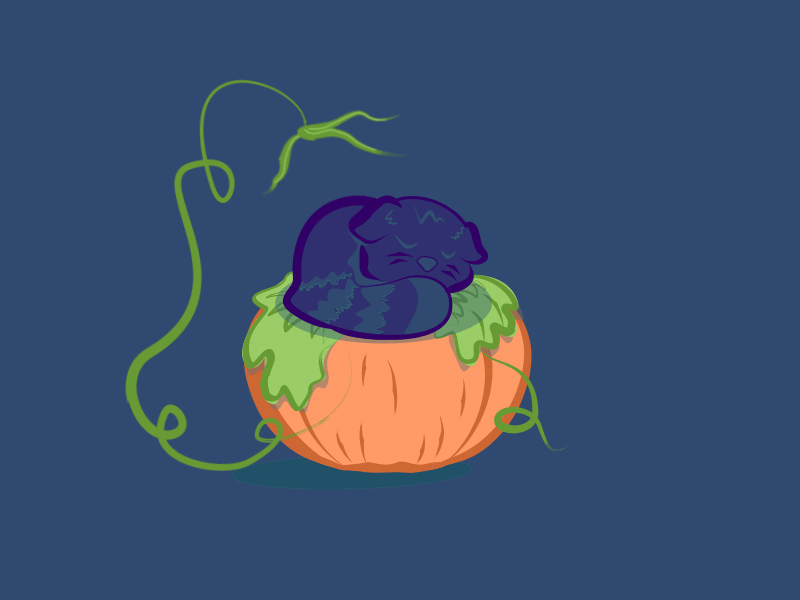 Cat on a Pumpkin aftereffects animation blue bounce cat gif illustration pumpkin sleepy