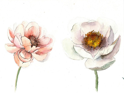 Watercolor Flowers