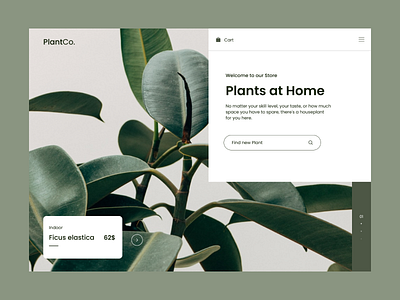 Plant Store - Concept design icon interface minimalist product page typography ui ux web website