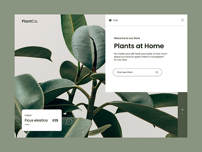 Plant Store - Concept