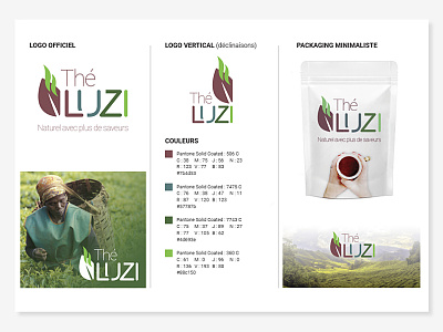 Branding Packaging Thé Luzi branding composition graphic logo packaging