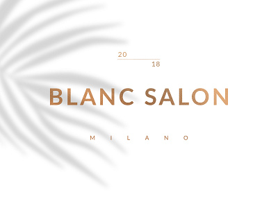 Blanc Salon art direction branding design identity branding identité visuelle logo logodesign typography visual identity
