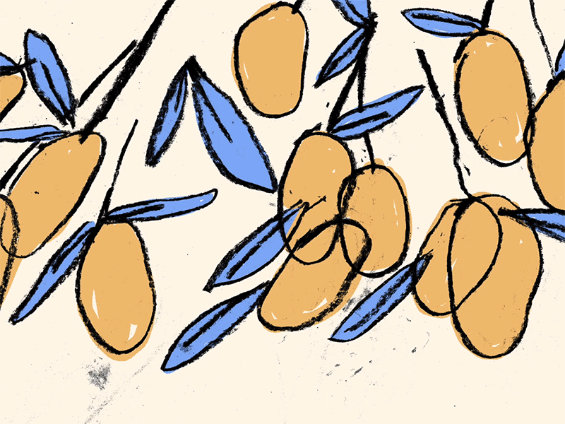 Philippine Mangos animated gif animation animation 2d animation after effects charcoal illustrated illustration pattern design traditional animation
