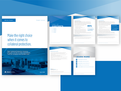 Insurance Product White Paper copywriting graphic design indianapolis insurance visual design