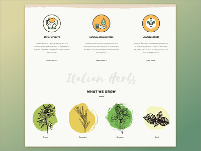Milagro Herbs earthy food green herbs icons milagro organic ui design watercolor watercolour web design
