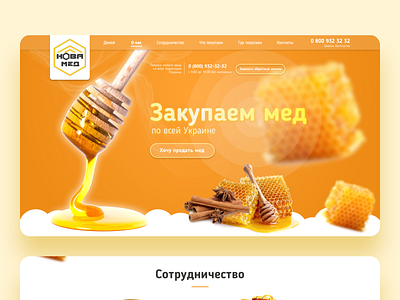 honey corporate webdesign branding design honey responsive design sketch ui uiux web