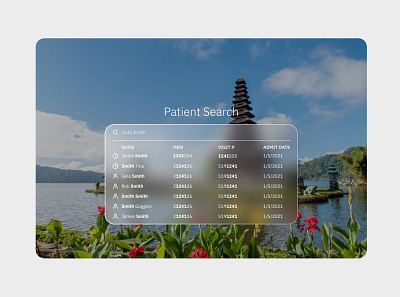 Glass Patient Search glass glassmorphism search segmented