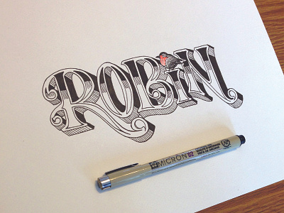 Robin hand drawn illustration lettering type typography vintage