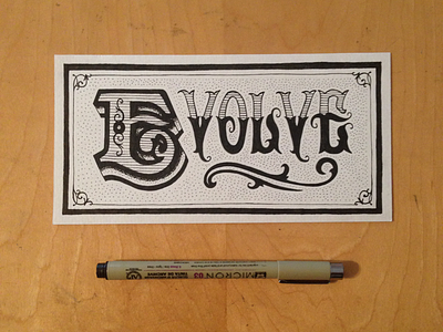 Evolve evolve illustration lettering type typography
