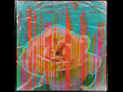 'Naive' aesthetic album art cover art design glitch illustration photoshop record rose trend 2019 trending typography unique vaporwave vaporwavedesign vector vinyl cover