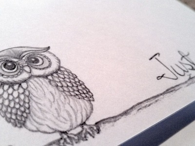 Hand Drawn Owl Notecards hand lettering illustration pencil sketch