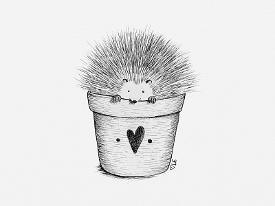 Potted Porcupine Illustration animal illustration drawing illustration illustrator ink illustration pen and ink porcupine