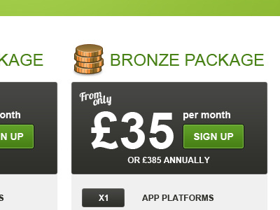 Pricing Guide UI button green grey packages pricing